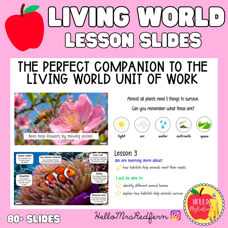 Living World Lesson Slides | Stage 1 Science
