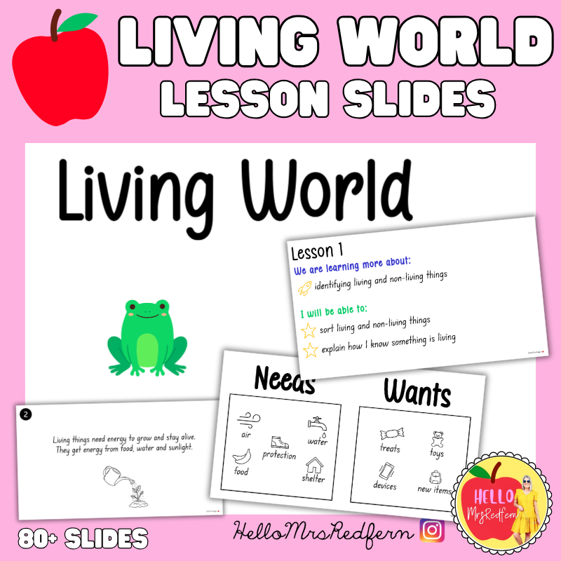 Living World Lesson Slides | Stage 1 Science